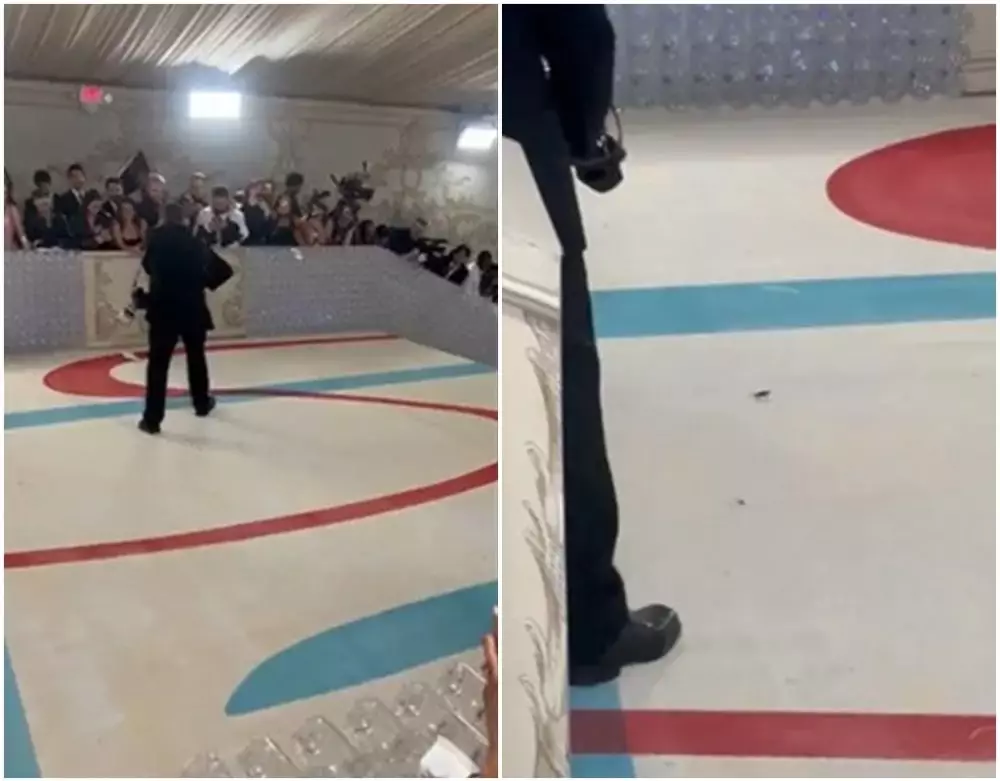 kecoa berkeliaran di red carpet Met Gala 2023   © 2023 brilio.net