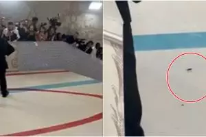 Seekor kecoa berkeliaran di red carpet Met Gala 2023, bikin heboh hingga jadi objek foto