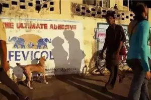 11 Potret kocak bersama bayangan ini hasilnya nggak disangka-sangka, kok bisa sih?