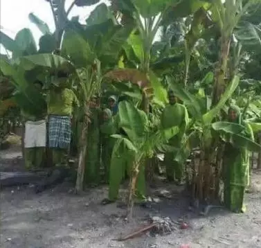 outfit menyatu dengan alam Berbagai sumber outfit menyatu dengan alam Berbagai sumber