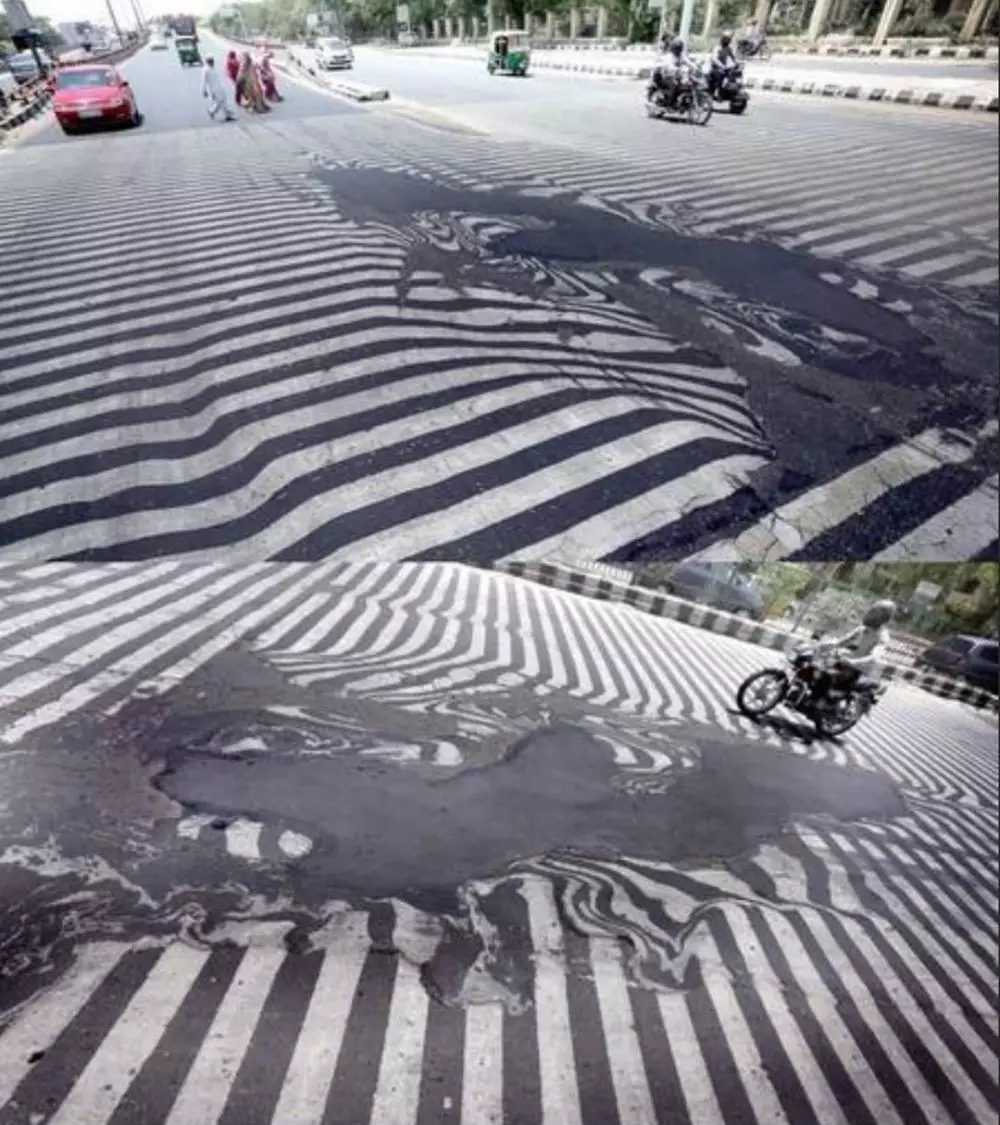 zebra cross nyeleneh © Berbagai sumber