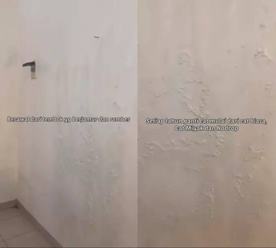 tips atasi tembok lembap dan berjamur © TikTok tips atasi tembok lembap dan berjamur © TikTok