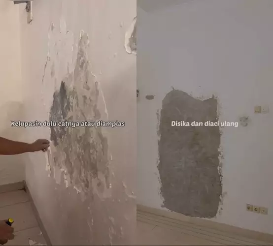 tips atasi tembok lembap dan berjamur © TikTok tips atasi tembok lembap dan berjamur © TikTok