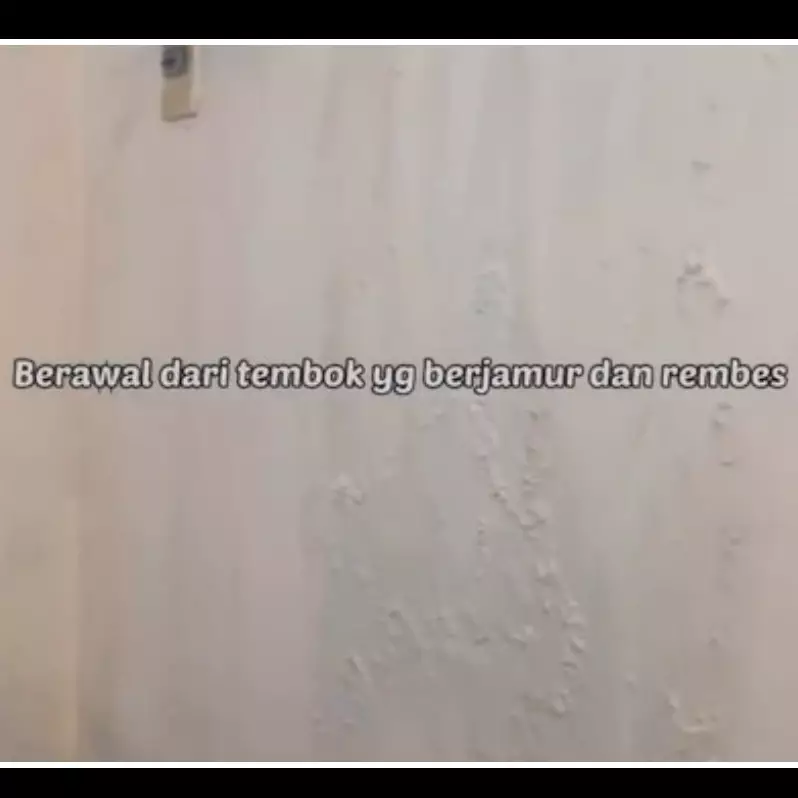 Tanpa perlu repot dicat ulang, begini tips atasi tembok lembap dan berjamur jadi makin cantik