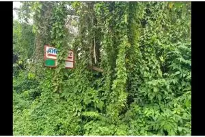 Awas kegocek, 11 potret kocak lapak pedagang ini bikin lihat dua kali