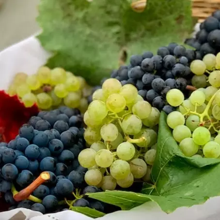 Awet seminggu, ini trik menyimpan anggur agar tak mudah busuk tanpa kulkas