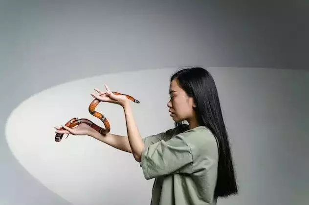 Arti mimpi melihat ular banyak tapi tidak menggigit freepik.com