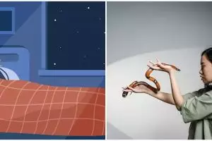 20 Arti mimpi melihat ular banyak tapi tidak menggigit menurut Islam & primbon Jawa, pertanda waspada