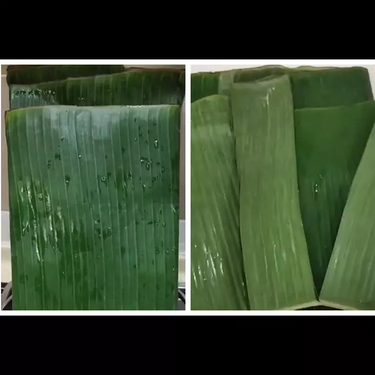 Tanpa perlu dipotong, ini cara simpan daun pisang agar tetap segar dan hijau cuma pakai 1 bahan dapur