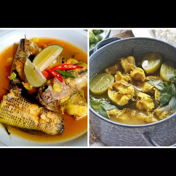 13 Resep ikan gabus berkuah, nikmat, istimewa, dan menggugah selera