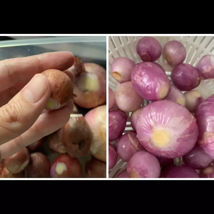 Tak perlu direndam, ini trik cepat mengupas bawang merah tanpa bikin mata perih