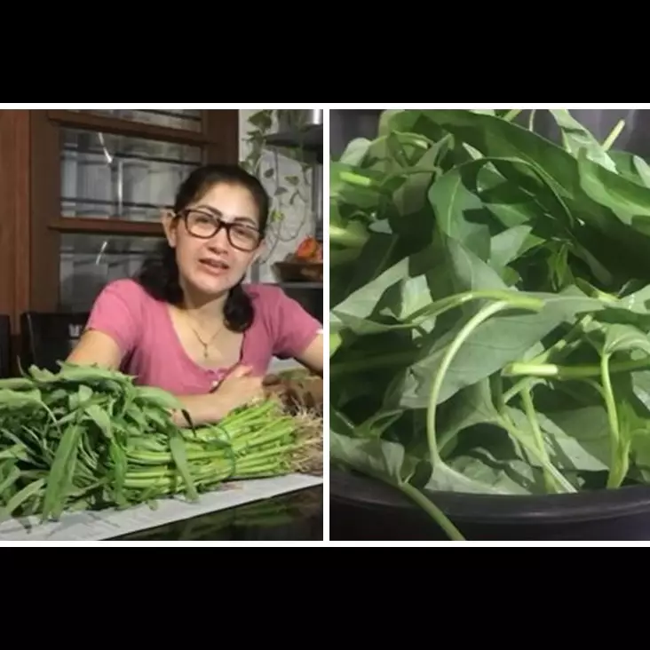 Tanpa direndam air, begini trik simpan sayur kangkung agar awet 1 minggu