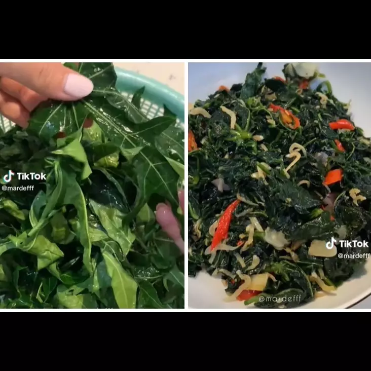 Tak perlu baking soda atau tanah liat, ini cara mengolah daun pepaya supaya tak pahit