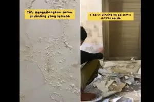 Manfaatkan satu bahan dapur, ini cara ampuh bersihkan jamur di dinding lembab supaya jadi baru lagi