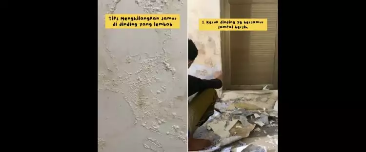 Manfaatkan satu bahan dapur, ini cara ampuh bersihkan jamur di dinding lembab supaya jadi baru lagi