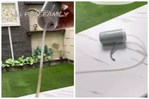 Tanpa direndam, begini cara bersihkan lumut di selang pompa air galon agar kinclong lagi