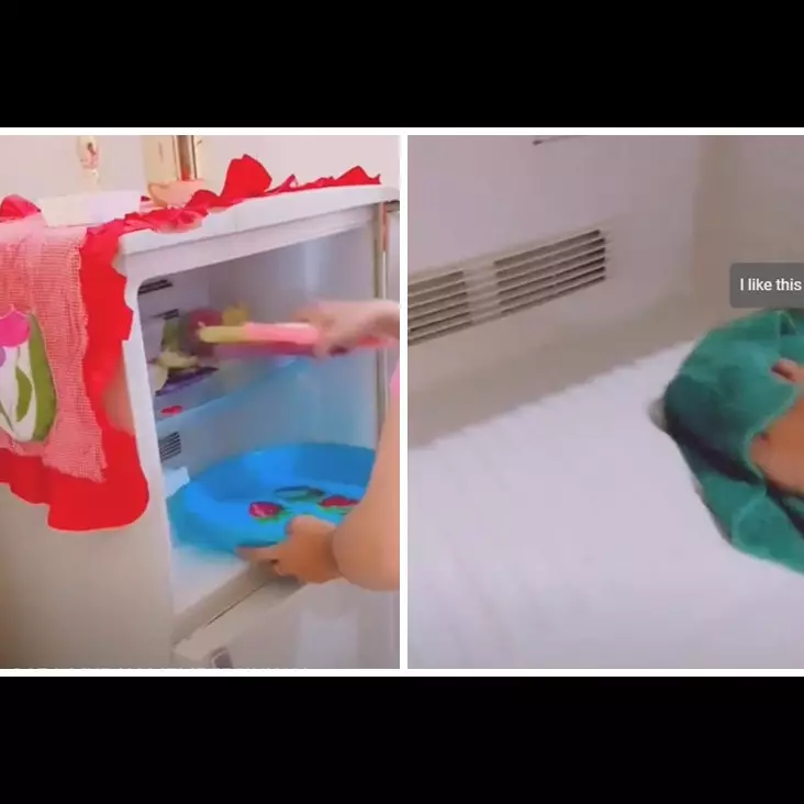 Trik basmi jamur di bagian dalam kulkas, ampuh pakai 1 bahan dapur