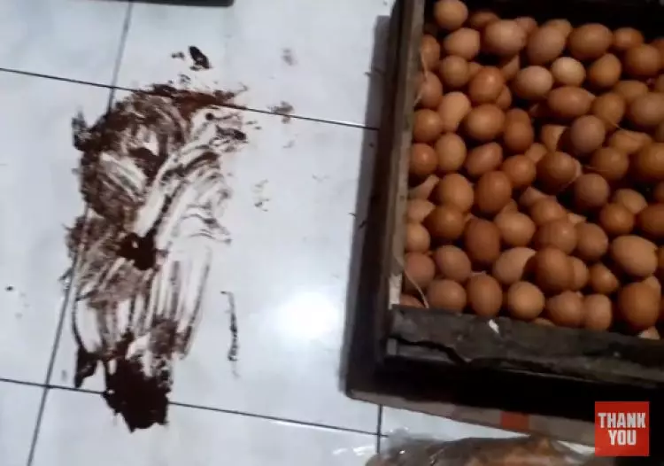 Bukan dilap, cara mudah bersihkan telur pecah di lantai pakai 1 bahan dapur ini bikin amis auto hilang