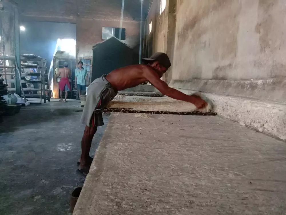 Produksi mi lethek di Bantul © 2023 brilio.net