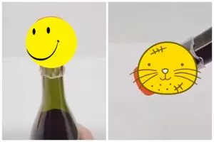 Cuma pakai sampah dapur, ini cara sederhana atasi tutup botol yang hilang