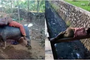 Di luar nalar, 20 potret kocak orang rebahan di sembarang tempat ini bikin geleng kepala