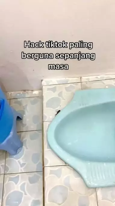 trik taklukkan kecoa tanpa pembasmi TikTok