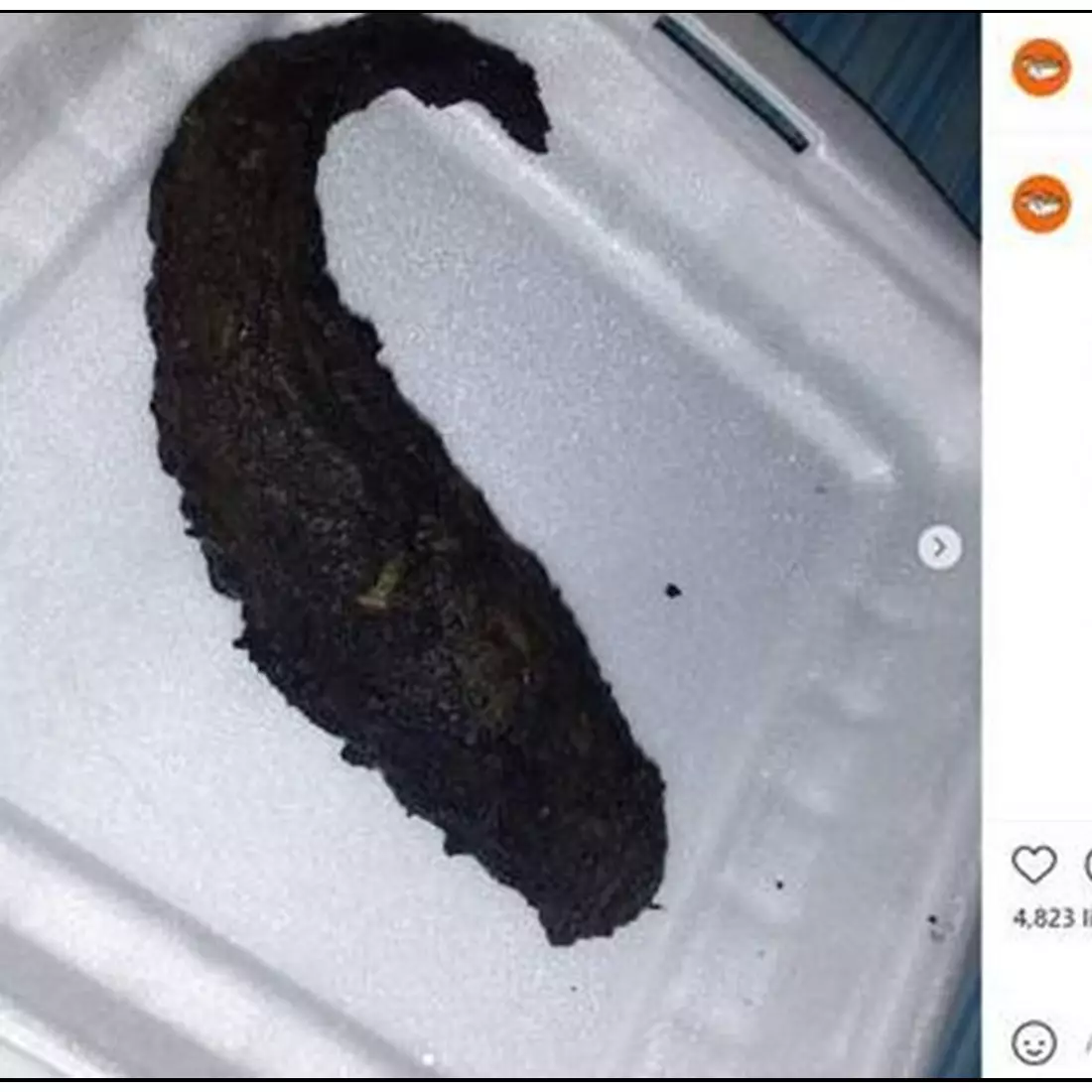 11 Potret kocak pesan makanan via online ini penampakannya bikin nggak nafsu makan, auto bintang satu