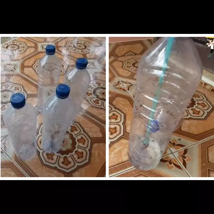 Cara mudah membuat perangkap lalat di meja makan cuma pakai 1 sampah dapur