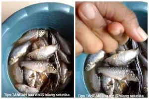 Bukan pakai jeruk nipis atau kopi, ini cara praktis hilangkan bau amis di tangan usai mengolah ikan