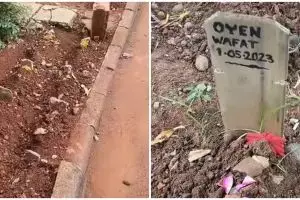 Pria ini telaten rawat dan bersihkan area kuburan kucing, hasilnya bersih, rapi, dan teratur