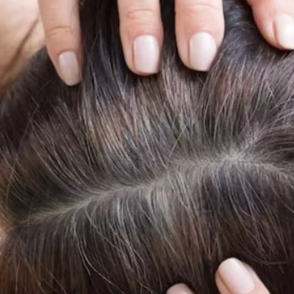 Rambut auto hitam berkilau, ini cara atasi uban agar tak tumbuh kembali pakai 1 daun penyedap masakan