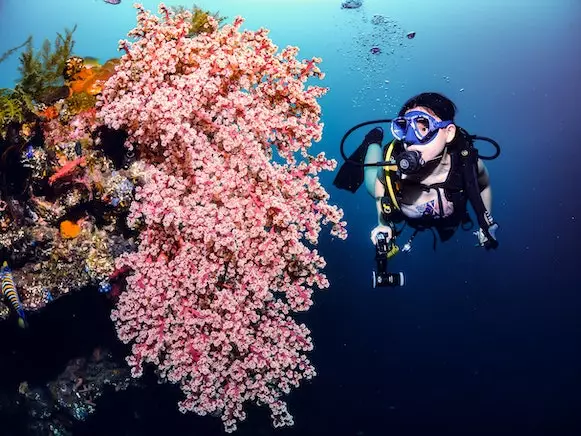 Arti mimpi berenang di laut menurut psikologi © 2023 brilio.net Arti mimpi berenang di laut menurut psikologi © 2023 brilio.net
