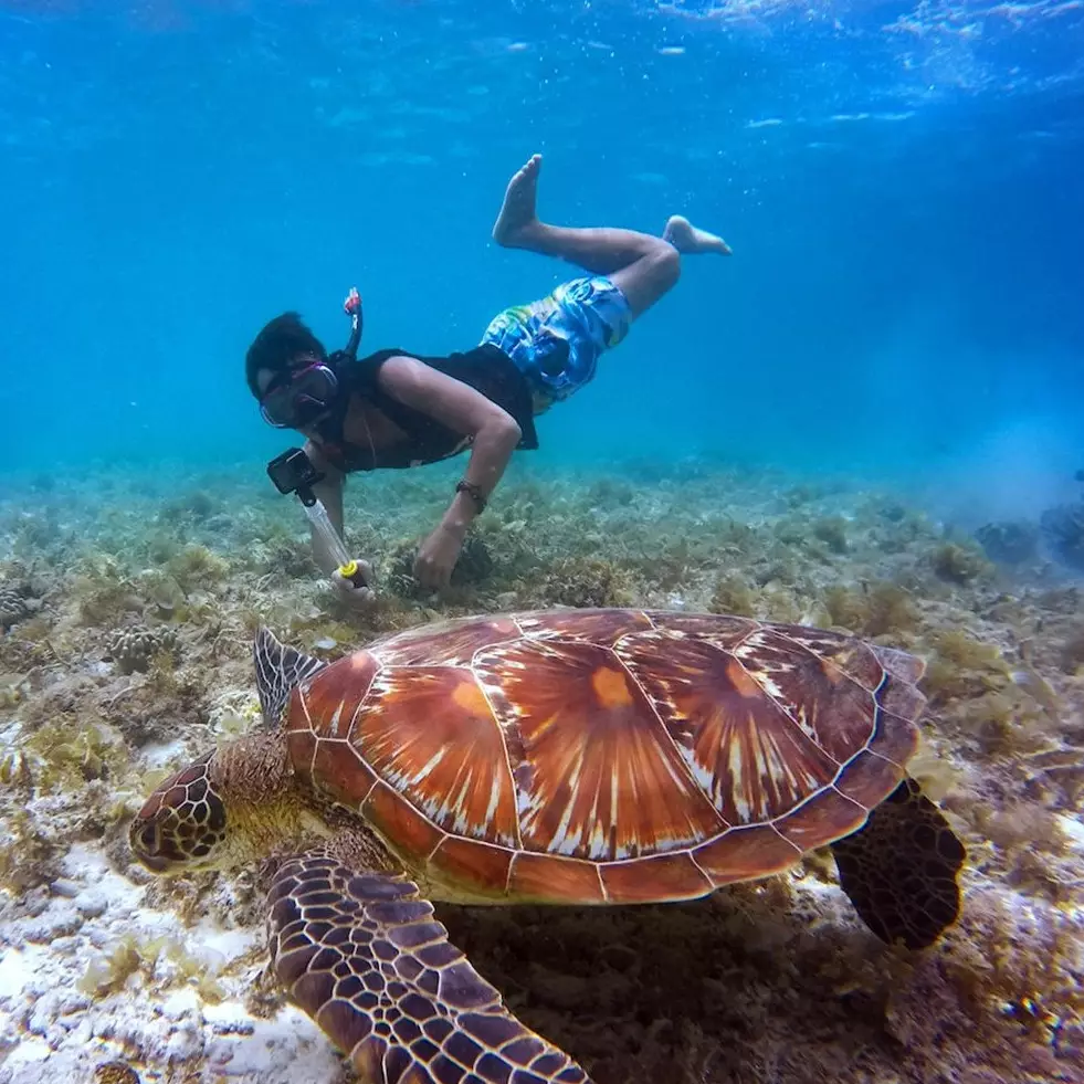 11 Arti mimpi berenang di laut menurut psikologi, bisa jadi keinginan untuk mencari hal baru