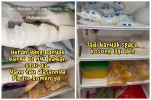 Tanpa plastik dan kipas angin, ini cara cepat mencairkan bunga es di kulkas