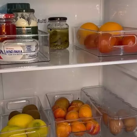 Jadi penyebab makanan cepat basi, ini cara mengurangi kelembapan di kulkas pakai dua bahan dapur