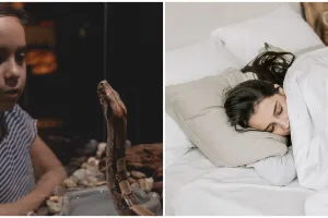 11 Arti mimpi dikejar ular, bisa jadi adanya kesulitan di masa mendatang