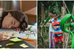 11 Arti mimpi digigit ular menurut Islam, bisa jadi didekatkan dengan jodoh