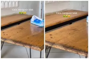 Tak perlu bikin perangkap, ini cara mengusir lalat yang terus hinggap di meja makan