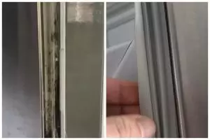 Cuma pakai 2 bahan dapur, begini cara basmi jamur di karet pintu kulkas