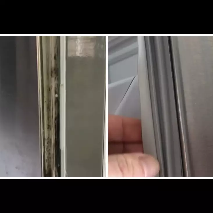 Cuma pakai 2 bahan dapur, begini cara basmi jamur di karet pintu kulkas