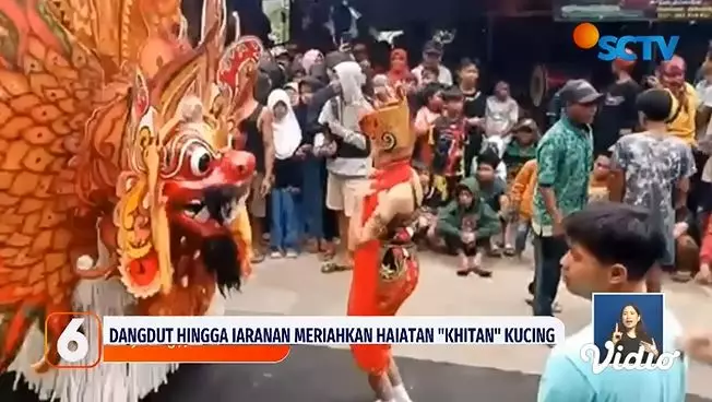 Viral khitan kucing dimeriahkan dangdut hingga jaranan Berbagai sumber