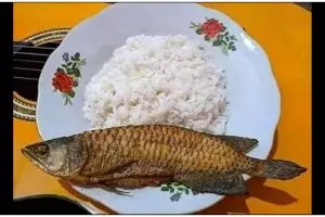 11 Potret kocak makan pakai lauk ikan ini nyeleneh abis, bikin nggak habis pikir