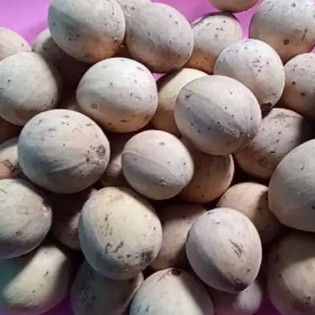 Trik simpan buah duku agar tetap segar, manis, dan tidak cepat busuk cuma pakai 1 bahan dapur