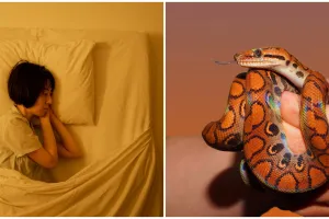 11 Arti mimpi digigit ular menurut psikologi, isyarat adanya tekanan dalam hidup