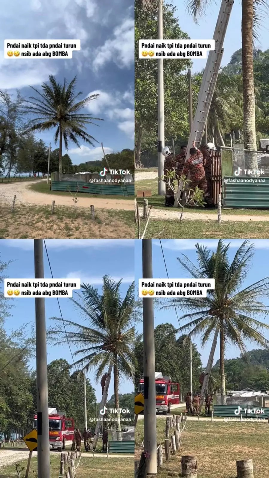 kucing ini malah nyantai © TikTok