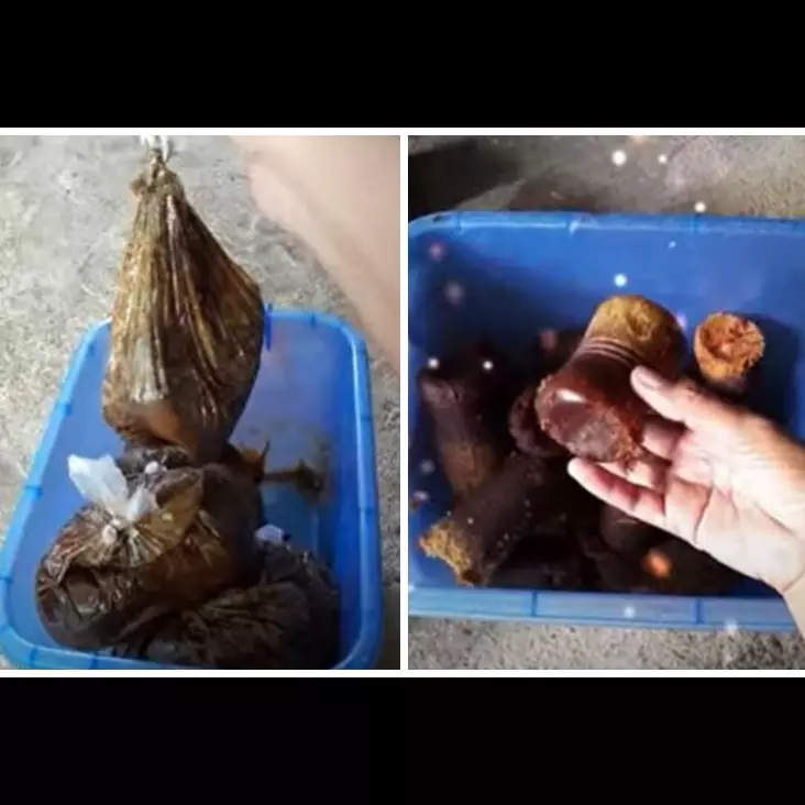 Cukup pakai barang bekas, begini trik mengatasi gula merah yang sudah mencair agar padat kembali