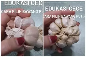 Wajib tahu, ini trik jitu memilih bawang putih yang lebih wangi dan mudah dikupas