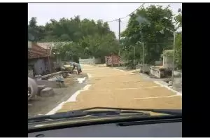 11 Potret kocak warga jemur padi di jalanan ini bikin nyengir sambil ingat kampung halaman