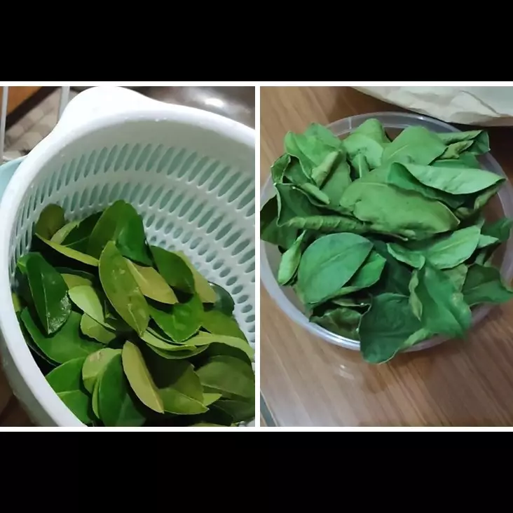 Bukan dijemur atau dioven, cara cepat mengeringkan daun jeruk ini bikin warnanya tetap hijau segar