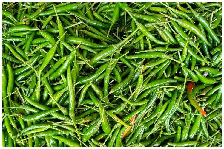 Tanpa ditambah jeruk nipis, ini trik bikin sambal cabai hijau agar warnanya tak menghitam